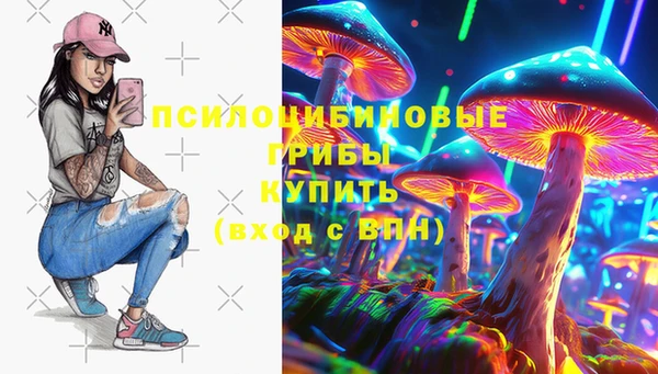 ГАЛЛЮЦИНОГЕННЫЕ ГРИБЫ Вязники
