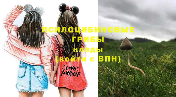 ГАЛЛЮЦИНОГЕННЫЕ ГРИБЫ Вязники