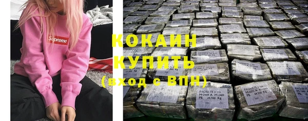 ГАЛЛЮЦИНОГЕННЫЕ ГРИБЫ Вязники