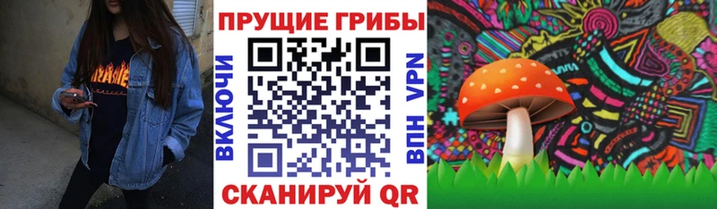 Купить закладки  Осинники  Галлюциногенные грибы прущие грибы 